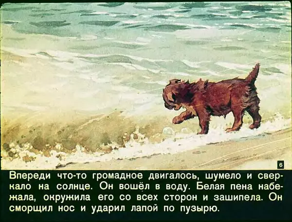 Книгаго: Солёный пёс. Иллюстрация № 7