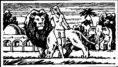 Книгаго: Львы Эльдорадо (Иллюстрации В. Никитина). Иллюстрация № 5