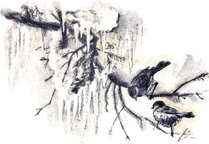 Книгаго: Жук на ниточке. Иллюстрация № 3