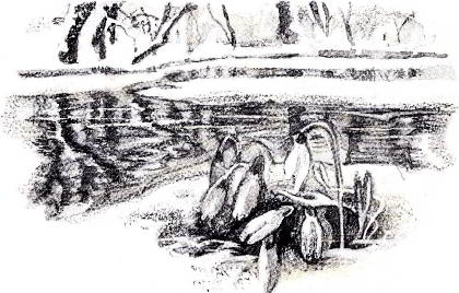 Книгаго: Жук на ниточке. Иллюстрация № 4
