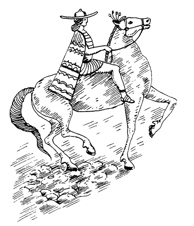 Книгаго: История лошади в истории человечества . Иллюстрация № 1