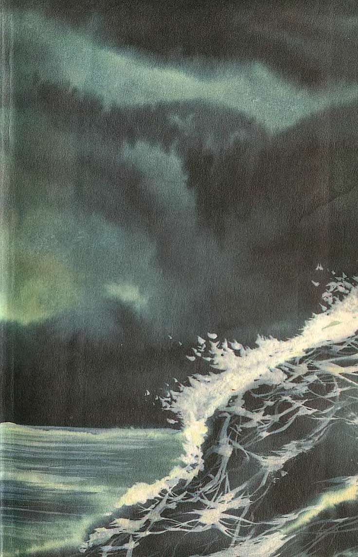 Книгаго: Остров дьявола. На море. Приключения Ганса Стерка.. Иллюстрация № 2
