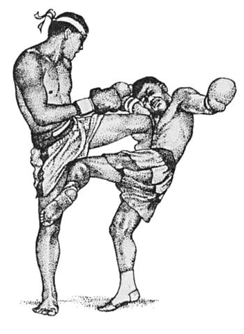 Книгаго: Таиландский бокс для начинающих. Иллюстрация № 1