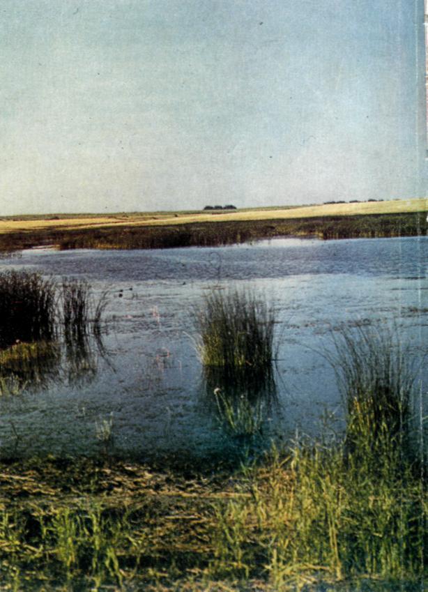 Книгаго: Приишимье. Иллюстрация № 3