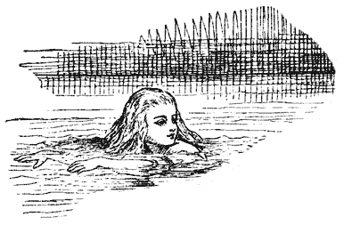 Книгаго: Приключения Алисы в Стране чудес.. Иллюстрация № 2