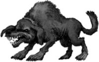 Книгаго: Ярчук — собака-духовидец (Книга о ярчуках). Иллюстрация № 4