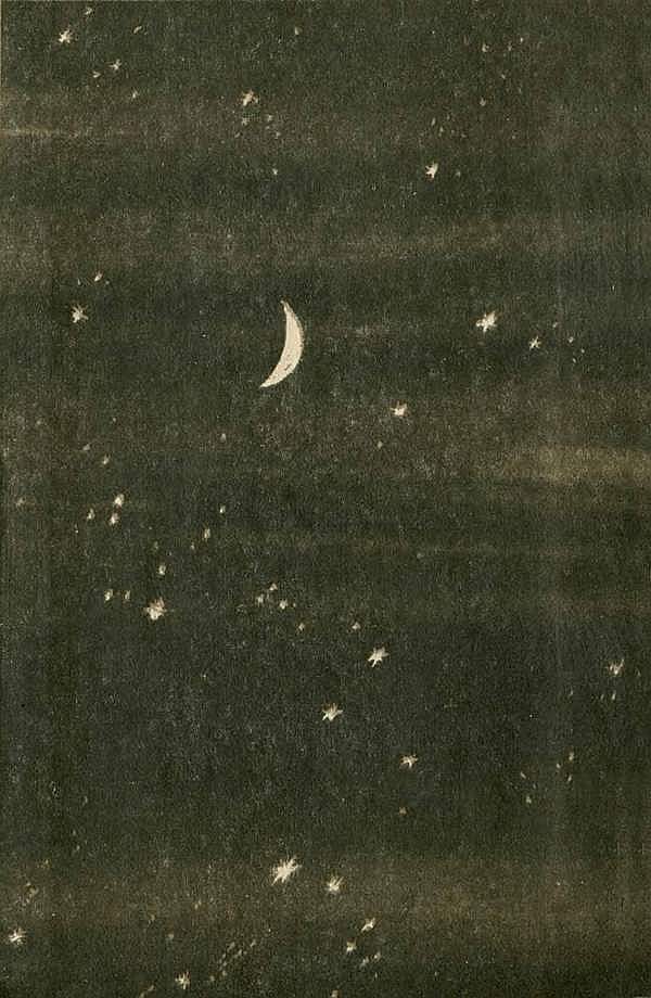 Книгаго: Пропавшее сокровище. Мир иной. Иллюстрация № 1