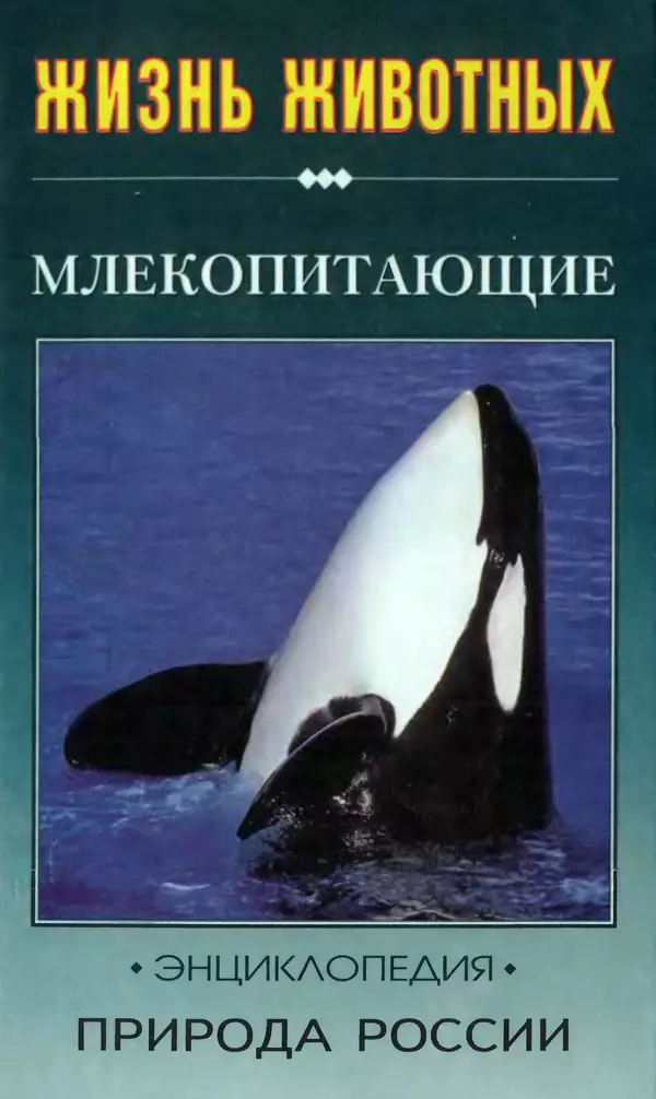 Книгаго: Жизнь животных. Природа России. Млекопитающие. Часть 2. Иллюстрация № 1